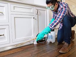 Best Real Estate Pest Inspections  in Liberty, TX